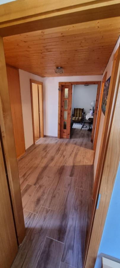 Le Panorama - Appartement 54 A Arolla Face Aux Montagnes A 150M Des Pistes Evolène Екстериор снимка