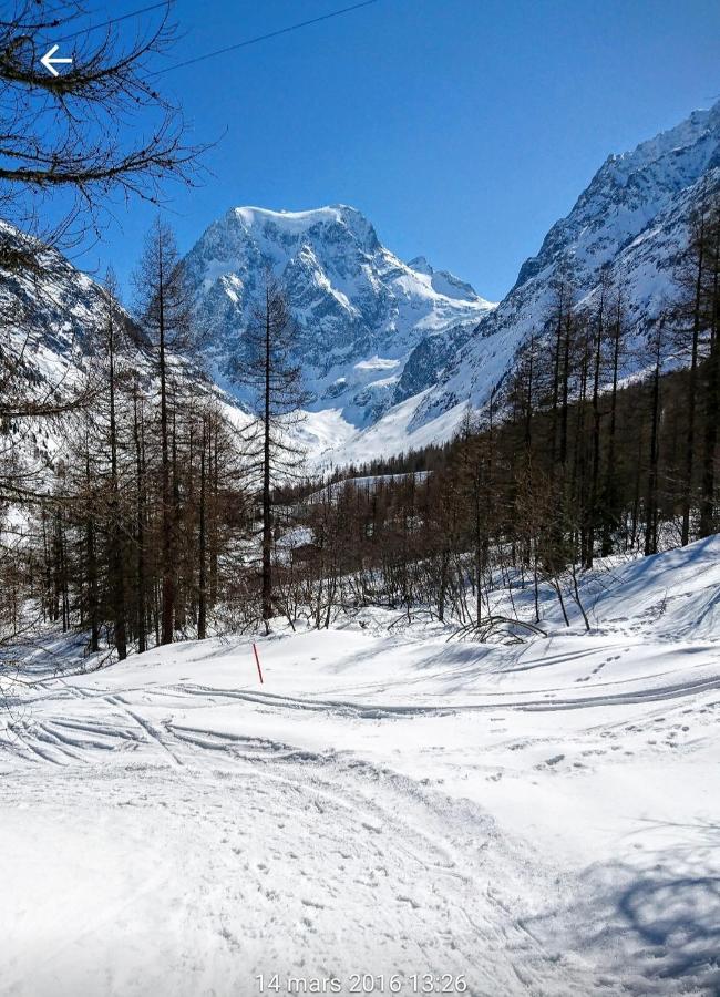 Le Panorama - Appartement 54 A Arolla Face Aux Montagnes A 150M Des Pistes Evolène Екстериор снимка