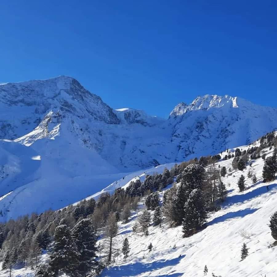 Le Panorama - Appartement 54 A Arolla Face Aux Montagnes A 150M Des Pistes Evolène Екстериор снимка