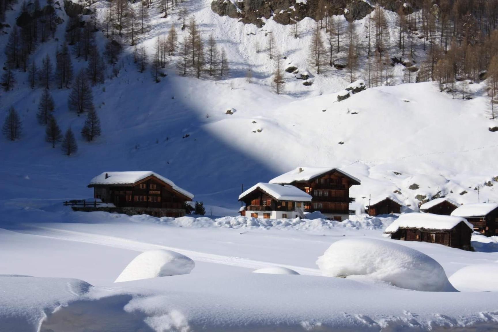 Le Panorama - Appartement 54 A Arolla Face Aux Montagnes A 150M Des Pistes Evolène Екстериор снимка
